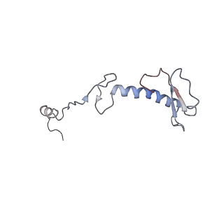 11641_7a5f_03_v1-0
Structure of the stalled human mitoribosome with P- and E-site mt-tRNAs