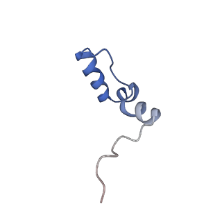 11641_7a5f_23_v1-0
Structure of the stalled human mitoribosome with P- and E-site mt-tRNAs