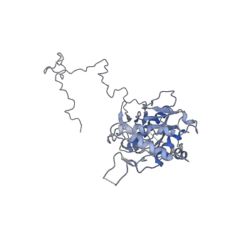 11641_7a5f_53_v1-0
Structure of the stalled human mitoribosome with P- and E-site mt-tRNAs