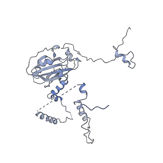11641_7a5f_63_v1-0
Structure of the stalled human mitoribosome with P- and E-site mt-tRNAs
