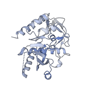11641_7a5f_73_v1-0
Structure of the stalled human mitoribosome with P- and E-site mt-tRNAs