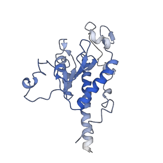 11641_7a5f_B6_v1-0
Structure of the stalled human mitoribosome with P- and E-site mt-tRNAs