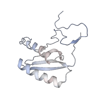 11641_7a5f_C6_v1-0
Structure of the stalled human mitoribosome with P- and E-site mt-tRNAs