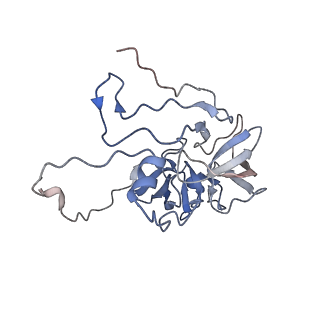 11641_7a5f_D3_v1-0
Structure of the stalled human mitoribosome with P- and E-site mt-tRNAs