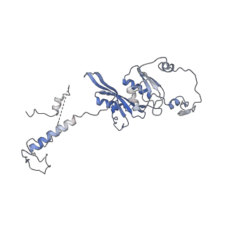 11641_7a5f_D6_v1-0
Structure of the stalled human mitoribosome with P- and E-site mt-tRNAs