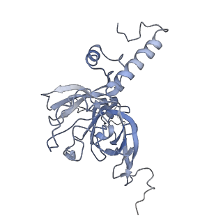 11641_7a5f_E3_v1-0
Structure of the stalled human mitoribosome with P- and E-site mt-tRNAs