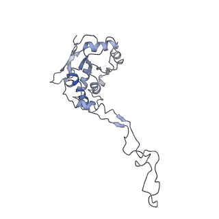 11641_7a5f_F3_v1-0
Structure of the stalled human mitoribosome with P- and E-site mt-tRNAs