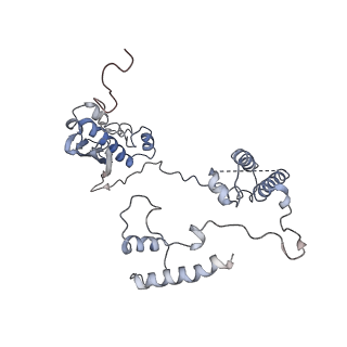 11641_7a5f_G6_v1-0
Structure of the stalled human mitoribosome with P- and E-site mt-tRNAs