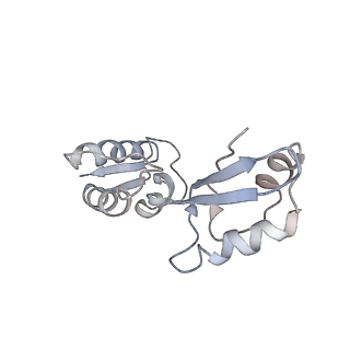 11641_7a5f_J3_v1-0
Structure of the stalled human mitoribosome with P- and E-site mt-tRNAs