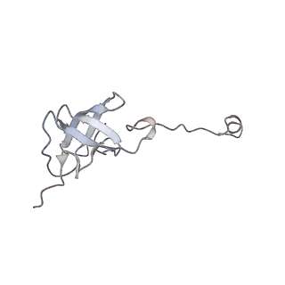 11641_7a5f_J6_v1-0
Structure of the stalled human mitoribosome with P- and E-site mt-tRNAs
