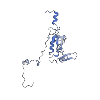 11641_7a5f_K3_v1-0
Structure of the stalled human mitoribosome with P- and E-site mt-tRNAs