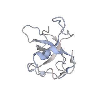 11641_7a5f_L3_v1-0
Structure of the stalled human mitoribosome with P- and E-site mt-tRNAs
