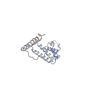11641_7a5f_L6_v1-0
Structure of the stalled human mitoribosome with P- and E-site mt-tRNAs