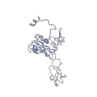 11641_7a5f_M3_v1-0
Structure of the stalled human mitoribosome with P- and E-site mt-tRNAs