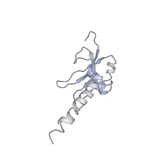 11641_7a5f_M6_v1-0
Structure of the stalled human mitoribosome with P- and E-site mt-tRNAs