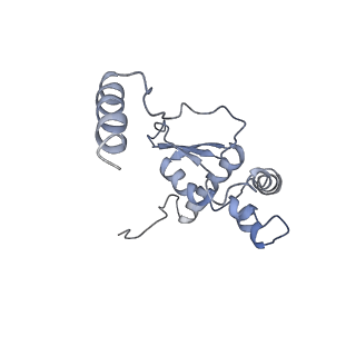 11641_7a5f_O3_v1-0
Structure of the stalled human mitoribosome with P- and E-site mt-tRNAs