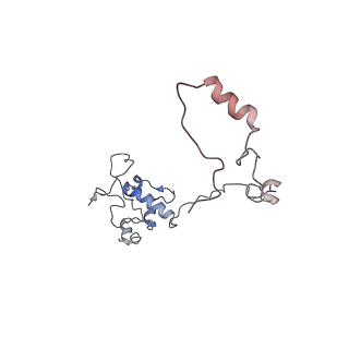 11641_7a5f_O6_v1-0
Structure of the stalled human mitoribosome with P- and E-site mt-tRNAs