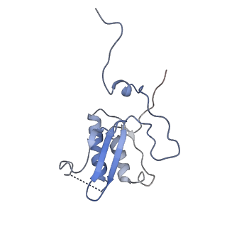 11641_7a5f_P3_v1-0
Structure of the stalled human mitoribosome with P- and E-site mt-tRNAs