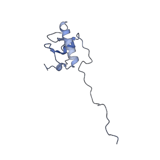 11641_7a5f_P6_v1-0
Structure of the stalled human mitoribosome with P- and E-site mt-tRNAs