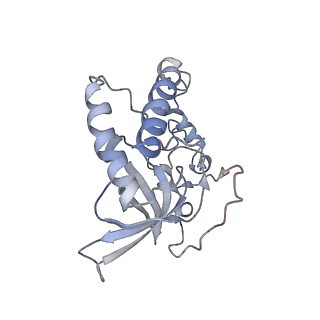 11641_7a5f_Q3_v1-0
Structure of the stalled human mitoribosome with P- and E-site mt-tRNAs
