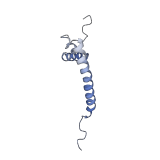 11641_7a5f_Q6_v1-0
Structure of the stalled human mitoribosome with P- and E-site mt-tRNAs