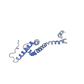 11641_7a5f_R3_v1-0
Structure of the stalled human mitoribosome with P- and E-site mt-tRNAs