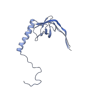 11641_7a5f_S3_v1-0
Structure of the stalled human mitoribosome with P- and E-site mt-tRNAs