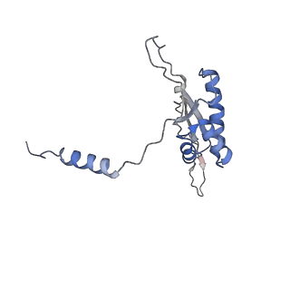 11641_7a5f_T3_v1-0
Structure of the stalled human mitoribosome with P- and E-site mt-tRNAs