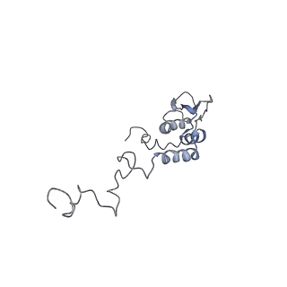 11641_7a5f_T6_v1-0
Structure of the stalled human mitoribosome with P- and E-site mt-tRNAs