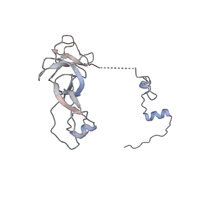 11641_7a5f_V3_v1-0
Structure of the stalled human mitoribosome with P- and E-site mt-tRNAs