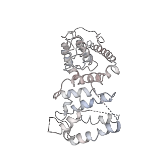 11641_7a5f_V6_v1-0
Structure of the stalled human mitoribosome with P- and E-site mt-tRNAs