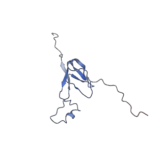 11641_7a5f_W3_v1-0
Structure of the stalled human mitoribosome with P- and E-site mt-tRNAs