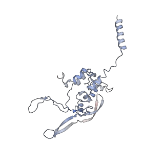 11641_7a5f_X3_v1-0
Structure of the stalled human mitoribosome with P- and E-site mt-tRNAs