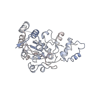 11641_7a5f_X6_v1-0
Structure of the stalled human mitoribosome with P- and E-site mt-tRNAs