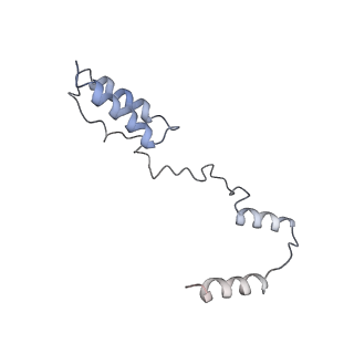 11641_7a5f_Y6_v1-0
Structure of the stalled human mitoribosome with P- and E-site mt-tRNAs