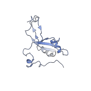 11641_7a5f_Z3_v1-0
Structure of the stalled human mitoribosome with P- and E-site mt-tRNAs