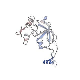 11641_7a5f_a6_v1-0
Structure of the stalled human mitoribosome with P- and E-site mt-tRNAs