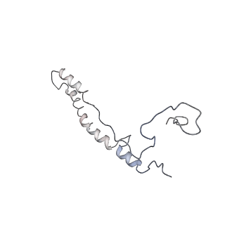 11641_7a5f_c6_v1-0
Structure of the stalled human mitoribosome with P- and E-site mt-tRNAs