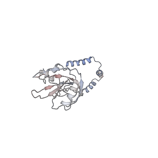 11641_7a5f_e3_v1-0
Structure of the stalled human mitoribosome with P- and E-site mt-tRNAs