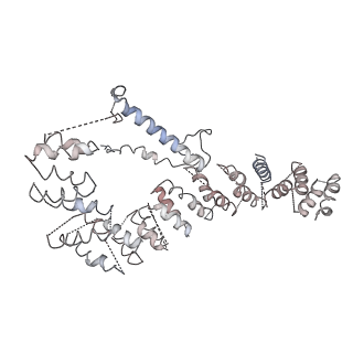 11641_7a5f_e6_v1-0
Structure of the stalled human mitoribosome with P- and E-site mt-tRNAs