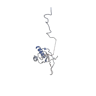 11641_7a5f_f3_v1-0
Structure of the stalled human mitoribosome with P- and E-site mt-tRNAs