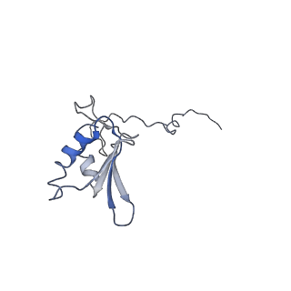11641_7a5f_g3_v1-0
Structure of the stalled human mitoribosome with P- and E-site mt-tRNAs