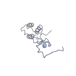 11641_7a5f_h3_v1-0
Structure of the stalled human mitoribosome with P- and E-site mt-tRNAs