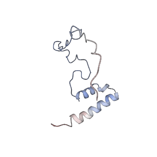 11641_7a5f_i3_v1-0
Structure of the stalled human mitoribosome with P- and E-site mt-tRNAs