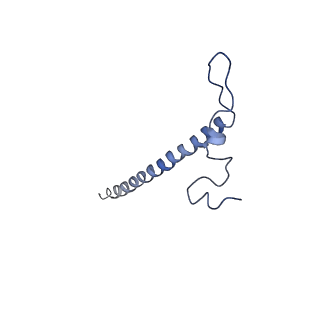 11641_7a5f_j3_v1-0
Structure of the stalled human mitoribosome with P- and E-site mt-tRNAs
