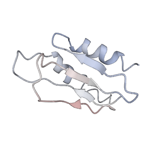 11641_7a5f_k3_v1-0
Structure of the stalled human mitoribosome with P- and E-site mt-tRNAs