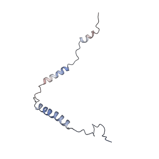 11641_7a5f_o3_v1-0
Structure of the stalled human mitoribosome with P- and E-site mt-tRNAs