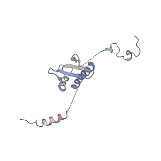 11641_7a5f_p3_v1-0
Structure of the stalled human mitoribosome with P- and E-site mt-tRNAs