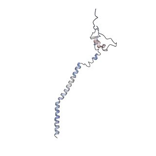 11641_7a5f_q3_v1-0
Structure of the stalled human mitoribosome with P- and E-site mt-tRNAs