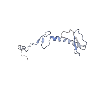 11642_7a5g_03_v1-0
Structure of the elongating human mitoribosome bound to mtEF-Tu.GMPPCP and A/T mt-tRNA